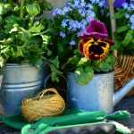 Für jede Jahreszeit die passenden Gartenarbeiten