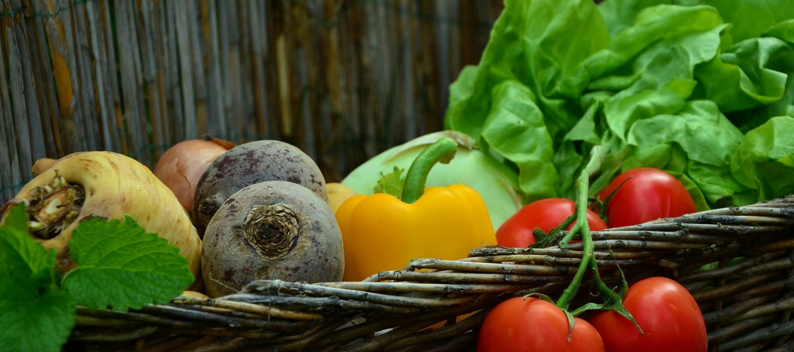 Gemüse aus dem Garten haltbar machen