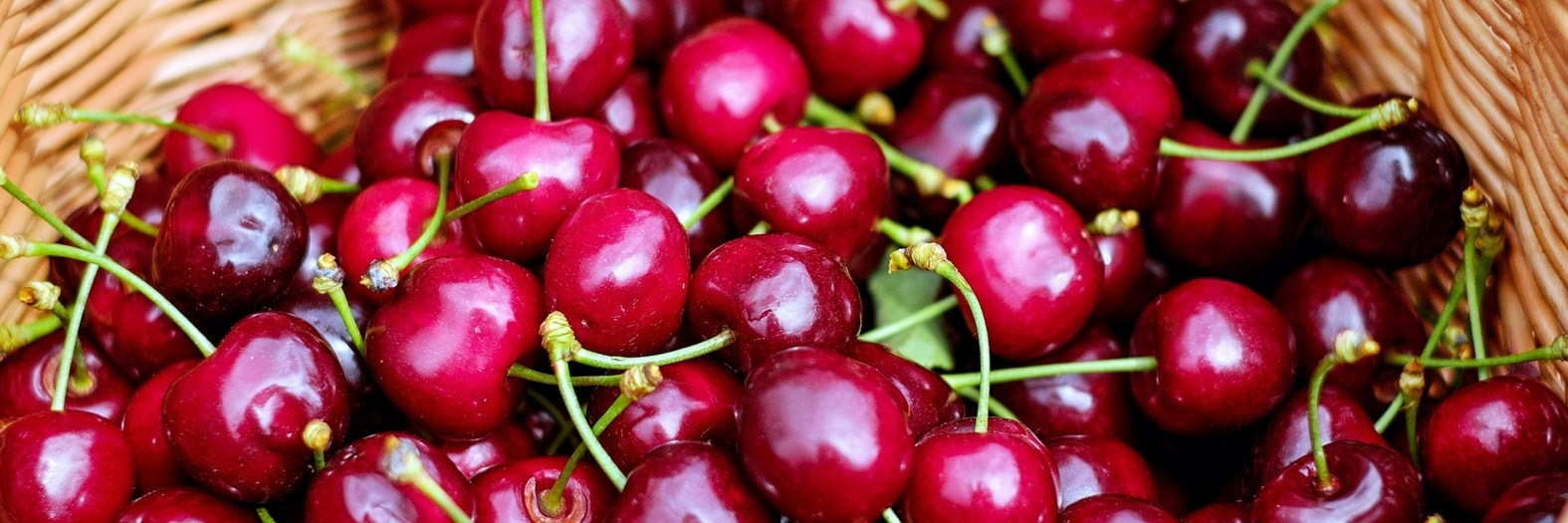 Obst aus dem Garten haltbar machen