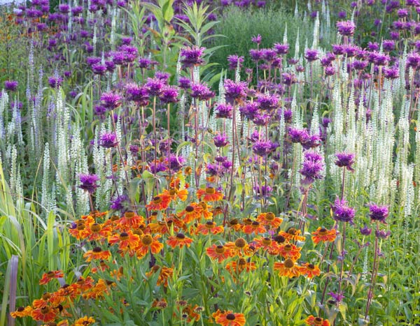 Blumenbeet: Variieren und kombinieren Sie die Formen!