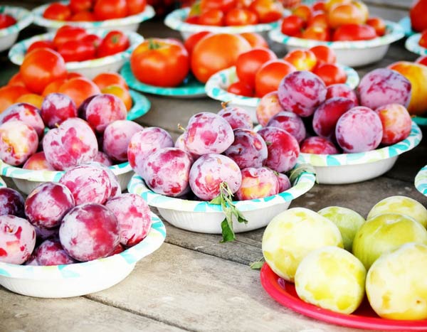 Was tun mit überschüssiger Ernte aus dem Gemüsegarten?