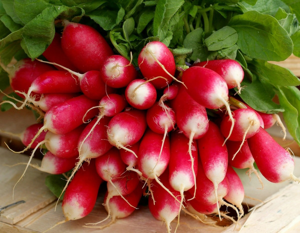 10 Frühlings- und Sommer-Rettiche, die fast das ganze Jahr über gesät werden können