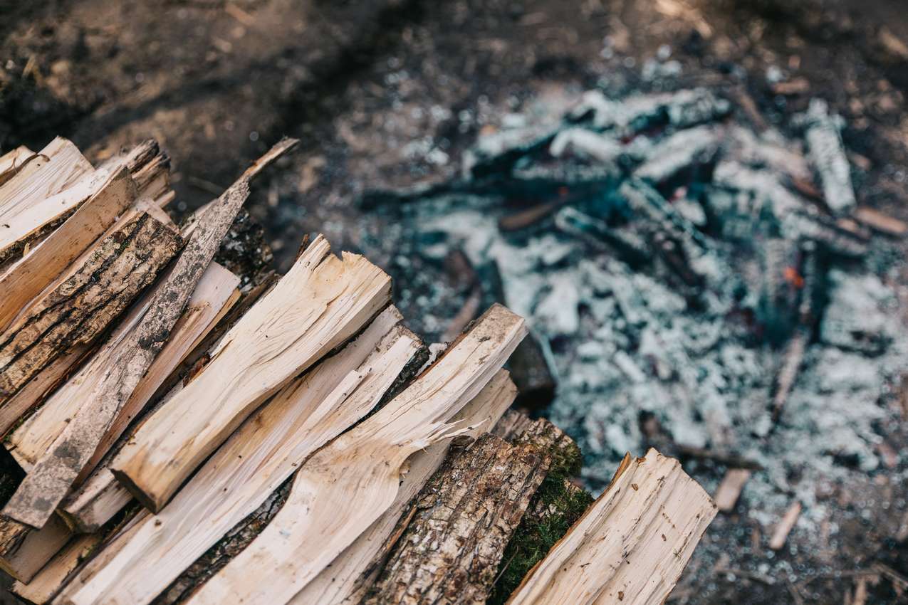 Was tun mit Holzasche im Garten?