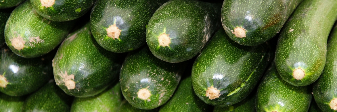 Zucchini: säen, pflanzen und im Gemüsegarten anbauen
