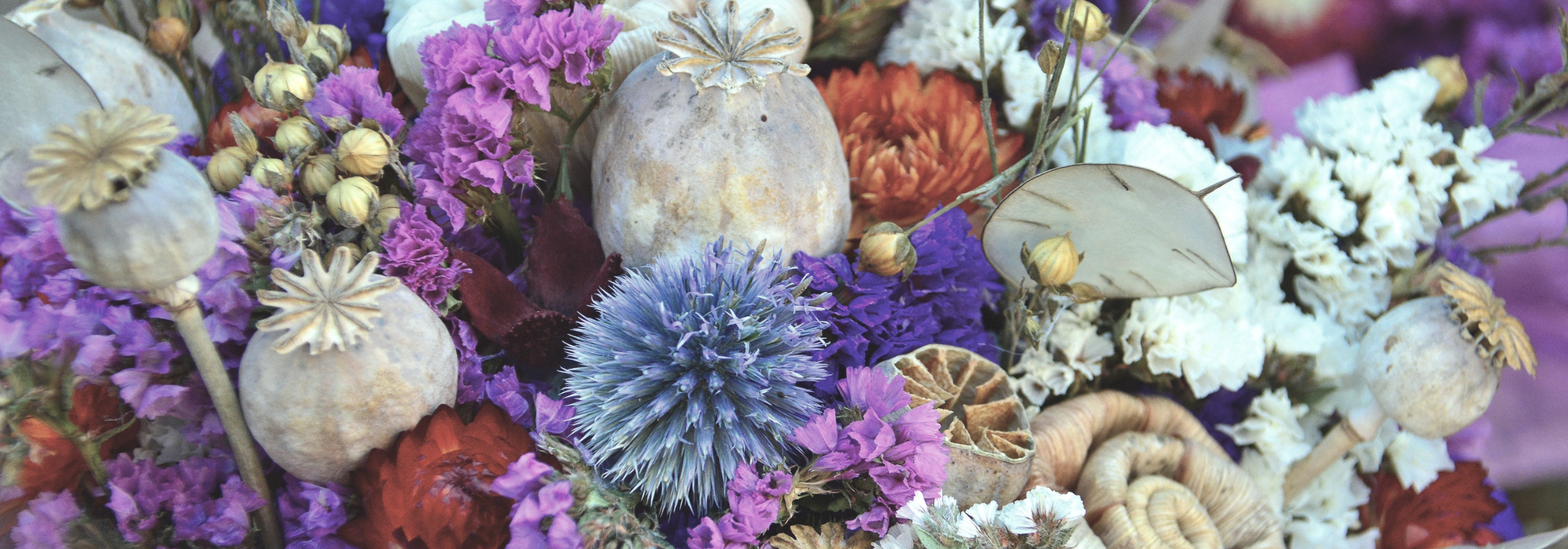 Getrocknete Blumen: Welche wählen, wie trocknen und Ihre Sträuße pflegen