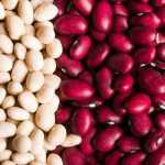 Bohnen: säen, anbauen und im Gemüsegarten ernten