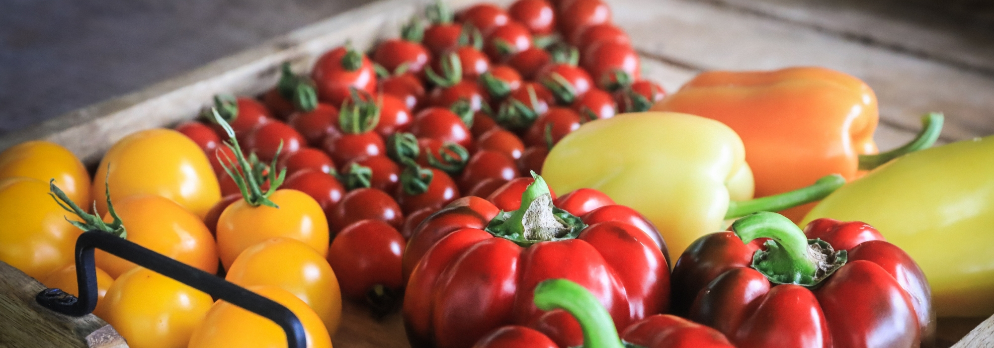 Wie Sie die letzten Früchte und das letzte Gemüse im Garten reifen lassen