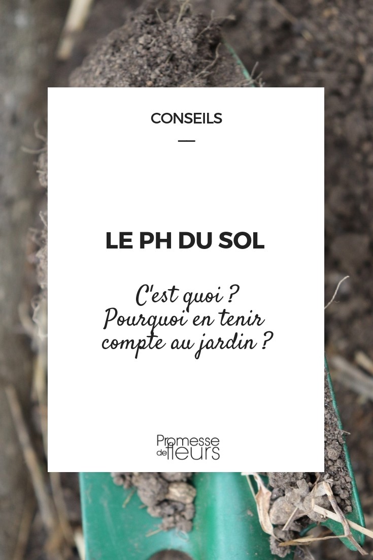pH des Gartenbodens