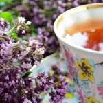 Tee und Aufguss: Welche Pflanzen anbauen?
