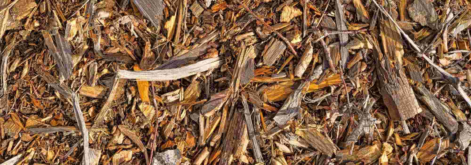 BRF (zerkleinertes Zweigholz): Was ist das und wie wird es im Garten genutzt?