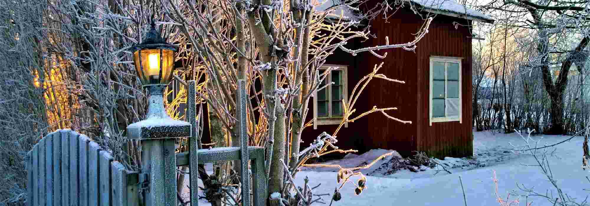 Gartenarbeiten im Winter?