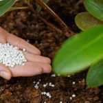 Balkon, Terrasse und kleine Gärten: passende Blumenerde und Dünger für wenig Platz