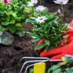 Gartenarbeit: Unfälle vermeiden?