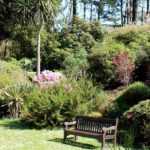 Was in einen vollen Garten pflanzen?