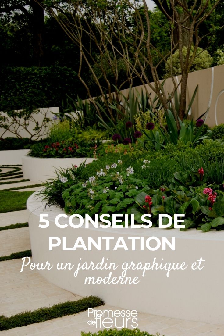 5 Pflanztipps für einen grafischen und modernen Garten