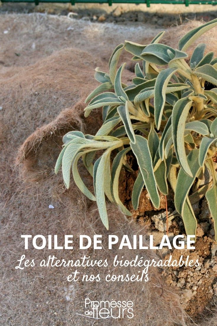 Biologisch abbaubare Mulchfolie