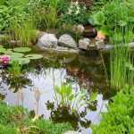 Gartenteich anlegen: Häufige Fehler vermeiden