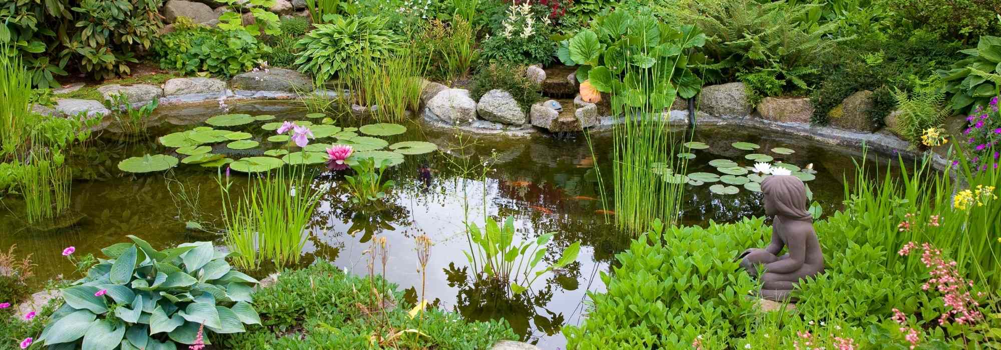 Gartenteich anlegen: Häufige Fehler vermeiden