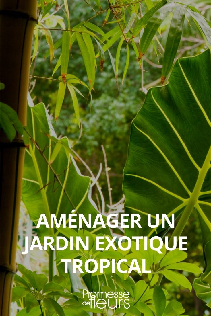Exotischer Garten: Wie gestaltet man ihn?