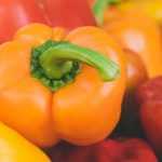 Paprika und Chili: Aussaat, Anbau und Ernte