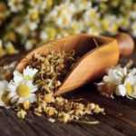 Kamillenblüten trocknen: So geht’s?