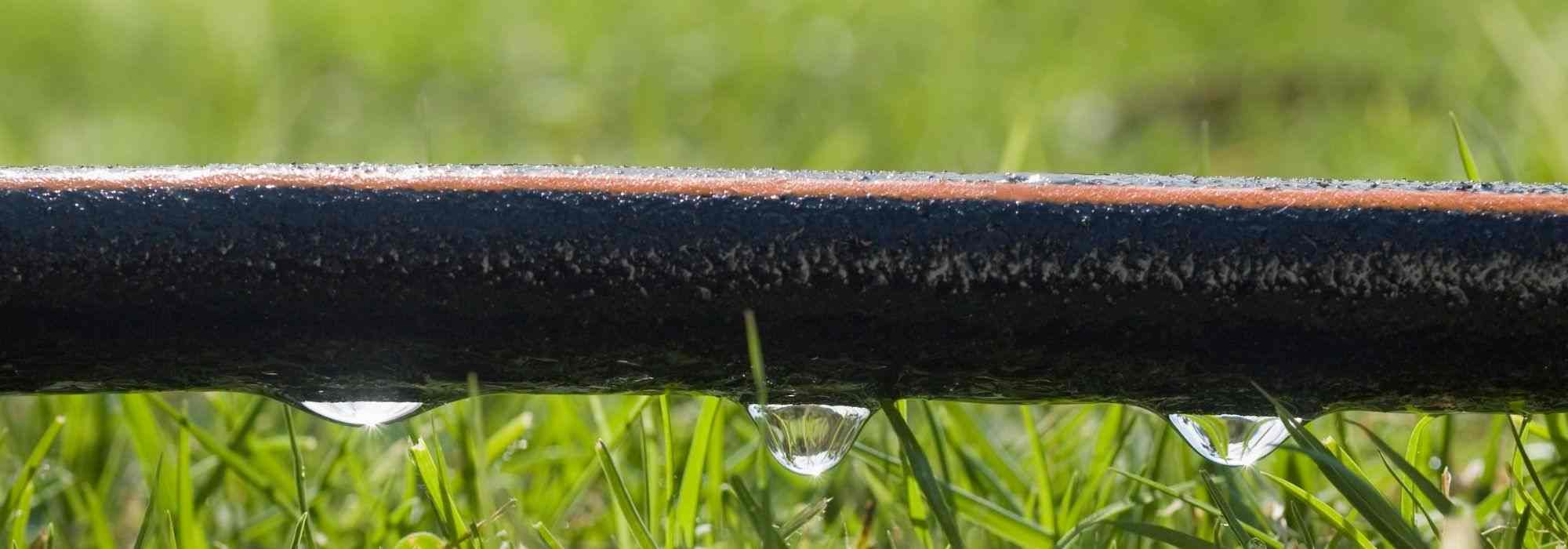 Mit einem Perlschlauch gießen