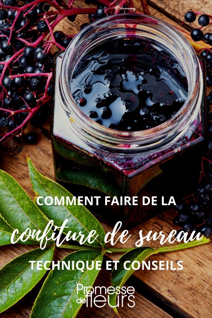 Rezept: Holunder-Marmelade