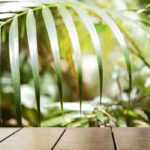 Welche Pflanzen für einen exotischen Balkon?