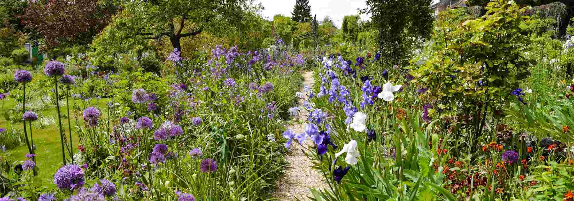 Blauen Garten gestalten