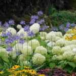 Weiße Blumen kombinieren