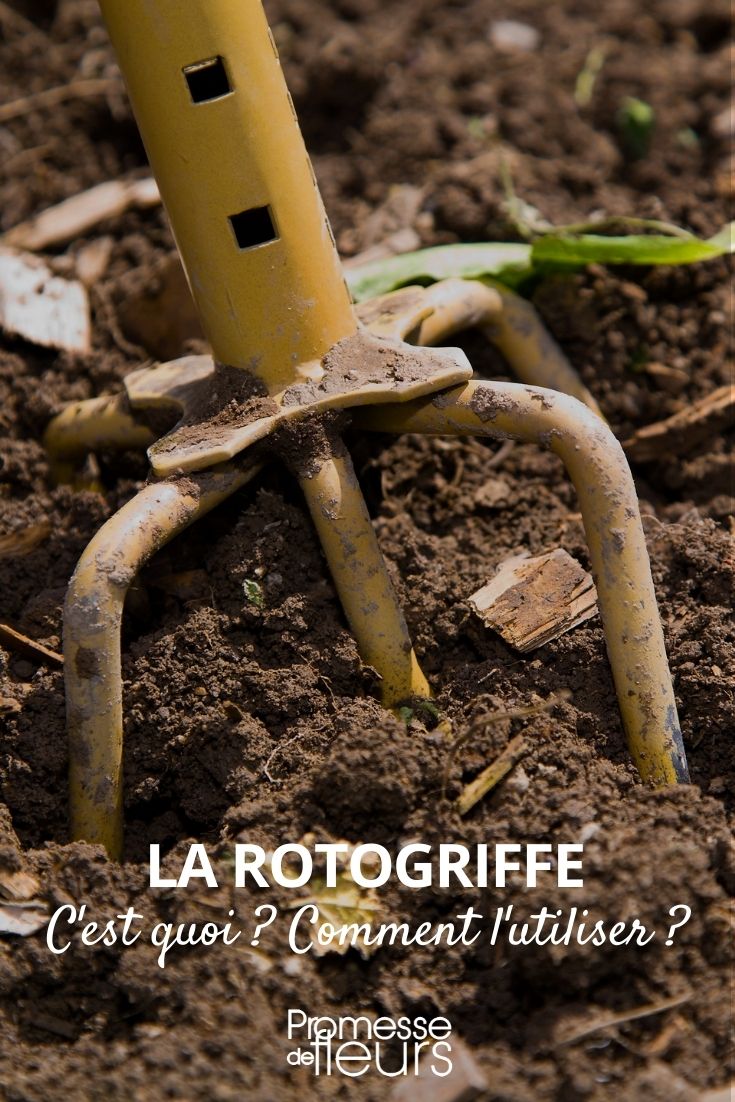 Rotogriffel