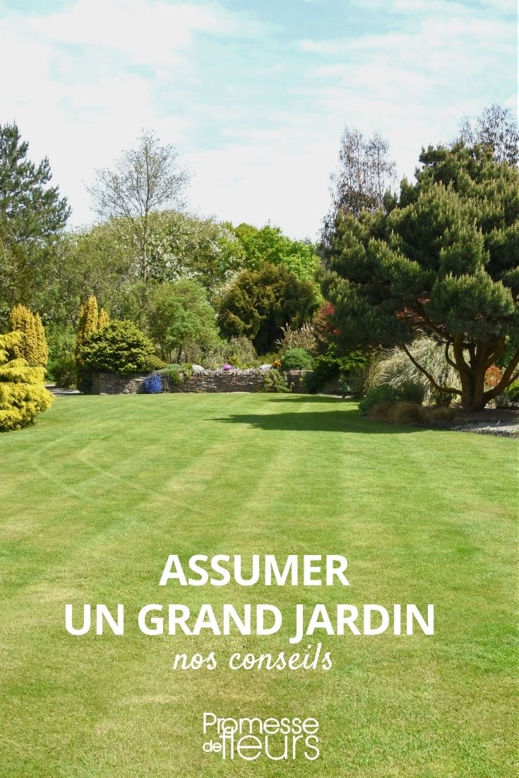 Einen großen Garten oder Park gestalten und pflegen  

Die Planung und Pflege eines großen Gartens oder Parks erfordert besondere Überlegungen. Hier sind einige Tipps für die Gestaltung und Bewirtschaftung großer Grünflächen:  

1. **Zonierung**: Teilen Sie den Raum in verschiedene Bereiche ein (Rasen, Beete, Gehölze, Sitzplätze)  
2. **Pflegeleichtigkeit**: Wählen Sie robuste Pflanzen und automatische Bewässerungssysteme  
3. **Wegeführung**: Gut geplante Wege verbinden die verschiedenen Bereiche harmonisch  
4. **Großformatige Elemente**: Setzen Sie Akzente mit großen Bäumen, Hecken oder Wasserflächen  
5. **Zeitmanagement**: Erstellen Sie einen Pflegeplan für die regelmäßige Instandhaltung  

Für große Flächen lohnt sich die Investition in professionelle Gartengeräte und gegebenenfalls gärtnerische Unterstützung. Die richtige Pflanzenauswahl (heimische Arten, mehrjährige Stauden) reduziert den Pflegeaufwand langfristig.