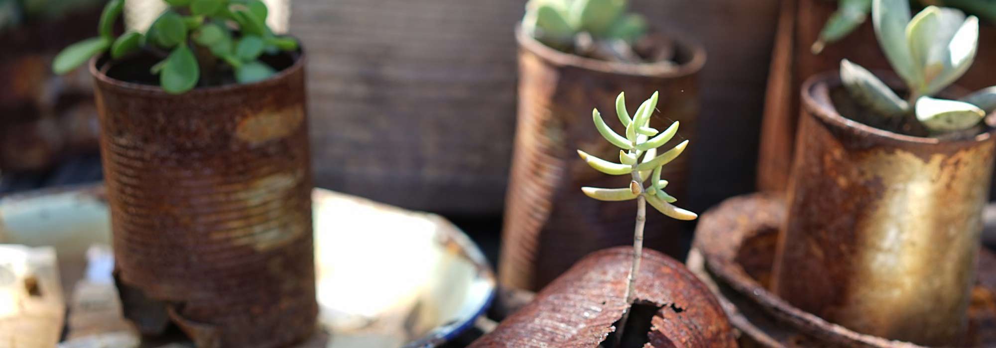 Verpackungen im Garten recyceln