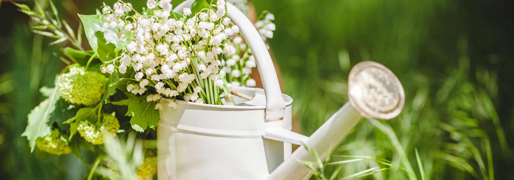 Gartenarbeiten im Mai?