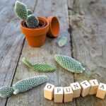 Opuntia, den Feigenkaktus, vermehren