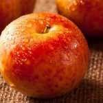 Pluot: Anbau, Pflege, Ernte