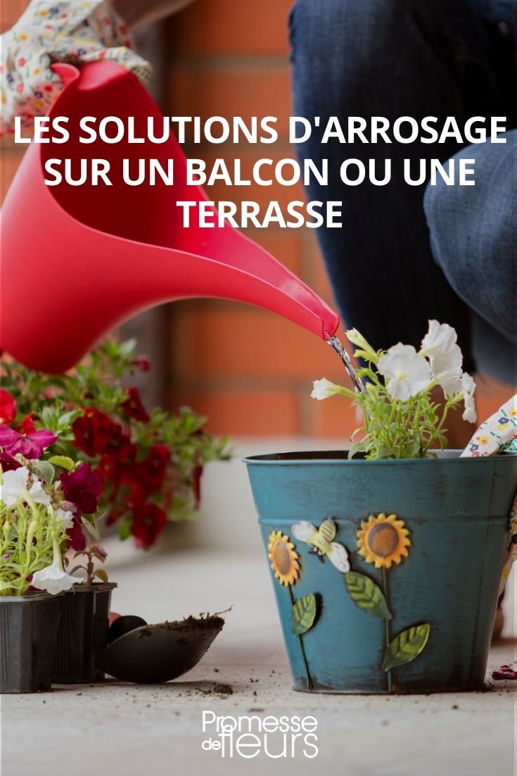 Lösungen zum Gießen von Pflanzen auf Balkon oder Terrasse