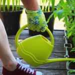 Gemüse und Obst auf der Terrasse anbauen