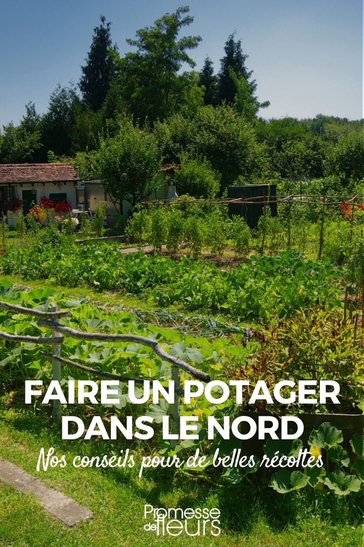Einen Gemüsegarten im Norden anlegen: Unsere Tipps