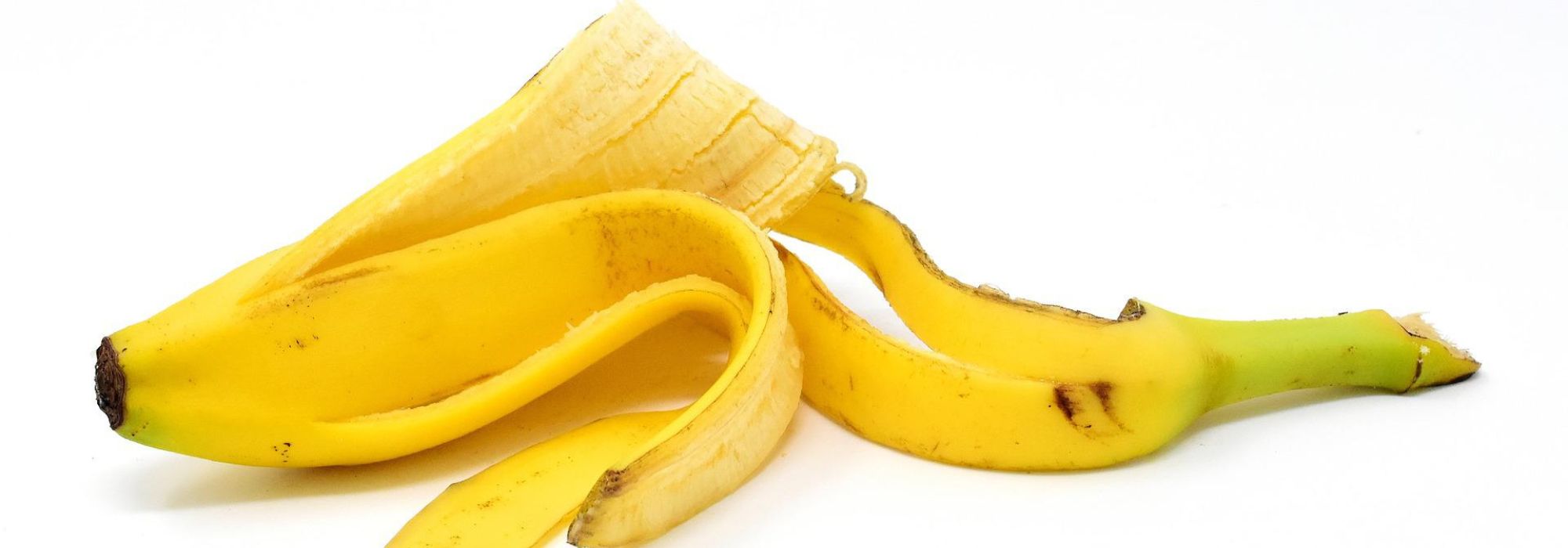 Zero Waste: Bananenschale im Garten