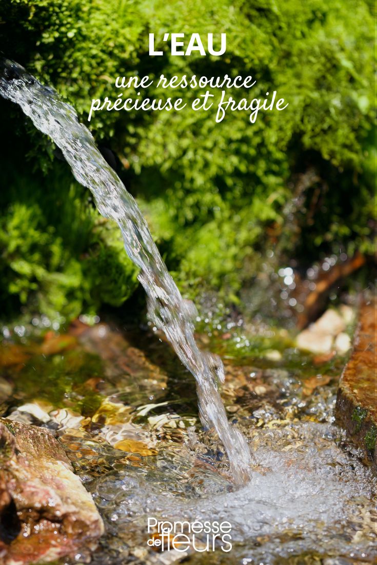 Wasser sparen und schützen