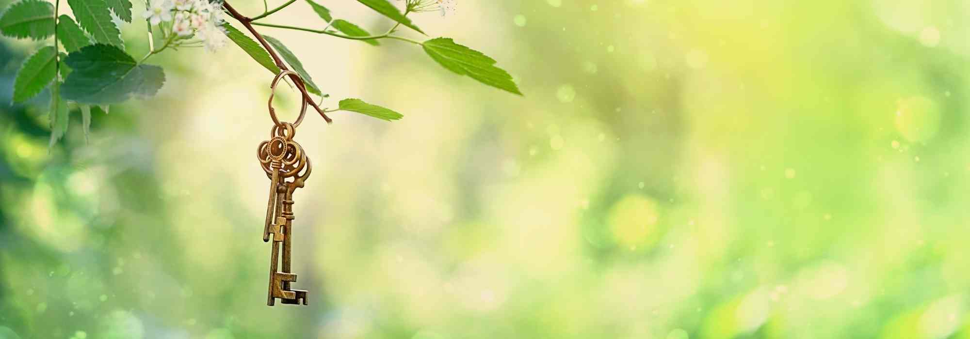 Geheimen Garten gestalten