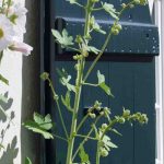 Garten am Zweitwohnsitz gestalten