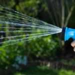 Garten gießen bei Trockenheit: Was sagt das Gesetz?