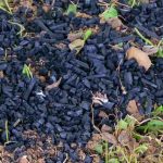 Biochar: Was ist das?