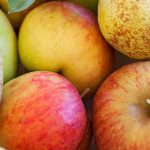 Äpfel und Birnen ernten und lagern