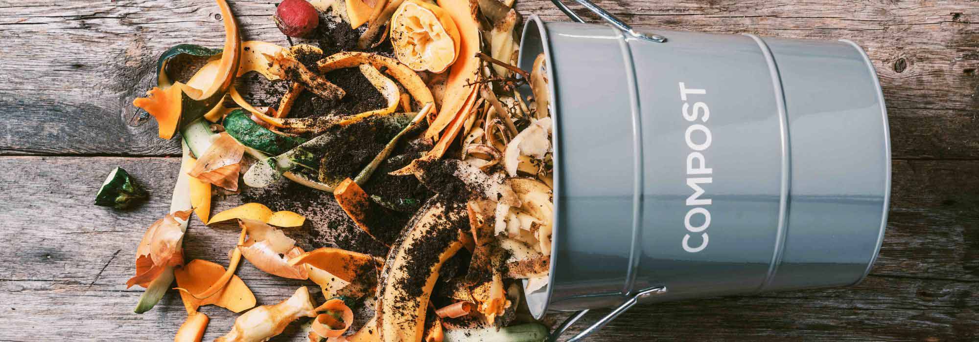 Komposttee: Rezept und Anwendung im Garten