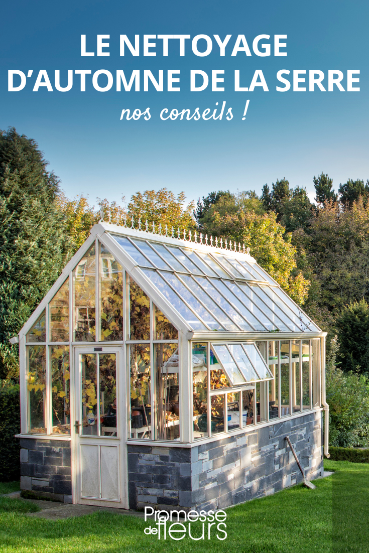 Das Gewächshaus im Herbst reinigen