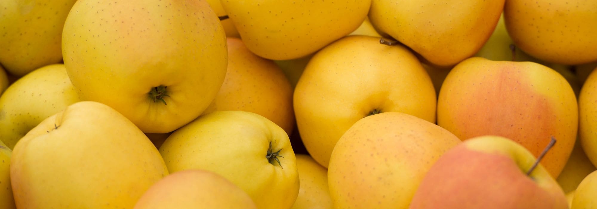 Gelber Apfel: 5 beste Sorten für den Obstgarten