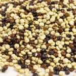 Quinoa im Garten anbauen